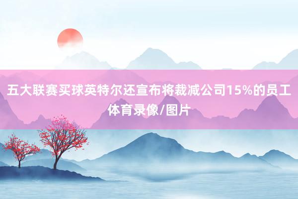 五大联赛买球英特尔还宣布将裁减公司15%的员工体育录像/图片