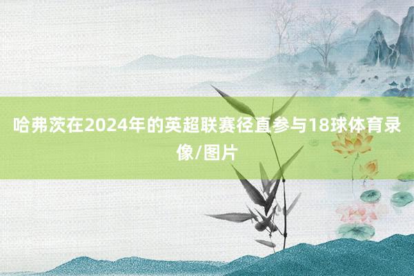 哈弗茨在2024年的英超联赛径直参与18球体育录像/图片