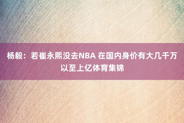 杨毅：若崔永熙没去NBA 在国内身价有大几千万以至上亿体育集锦