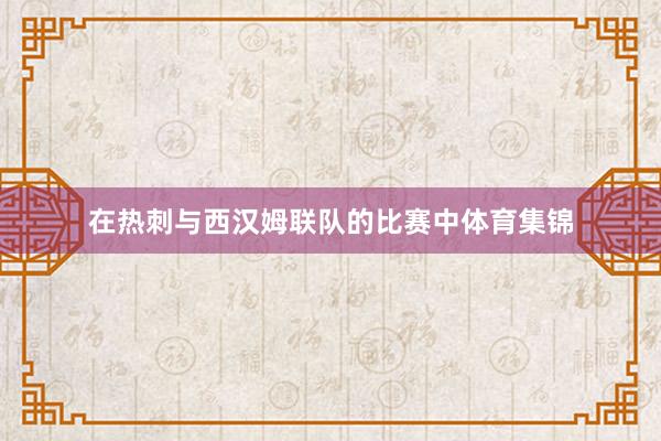 在热刺与西汉姆联队的比赛中体育集锦